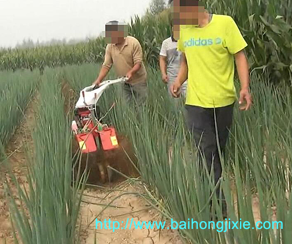 開溝蜜桃福利导航APP在大蔥地中的應用